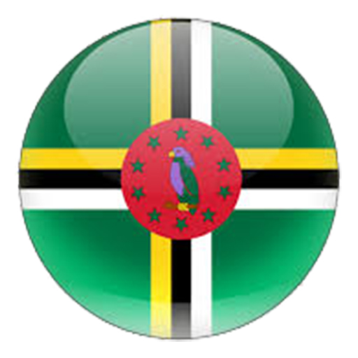 flag-icon